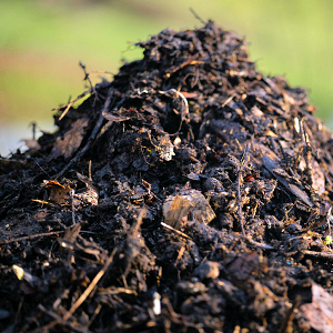 Compost